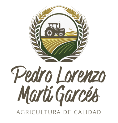 Pedro Lorenzo Martí Garcés
