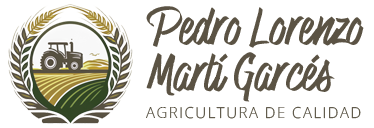 Pedro Lorenzo Martí Garcés